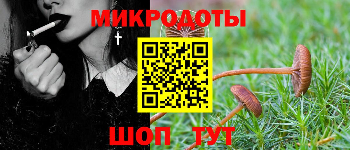Псилоцибиновые грибы Cubensis  Псилоцибиновые грибы мухоморы  Кимовск  Вход с VPN 